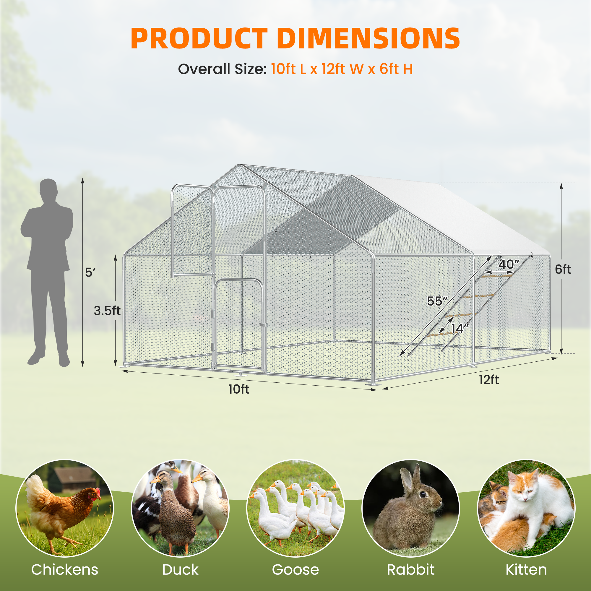 Large Chicken Coop & Metal Run - Spacious Walk In Pen for 10-20 Chickens with Double Feed Door, UV-Resistant Cover, Galvanized Frame - Duck & Rabbit House
