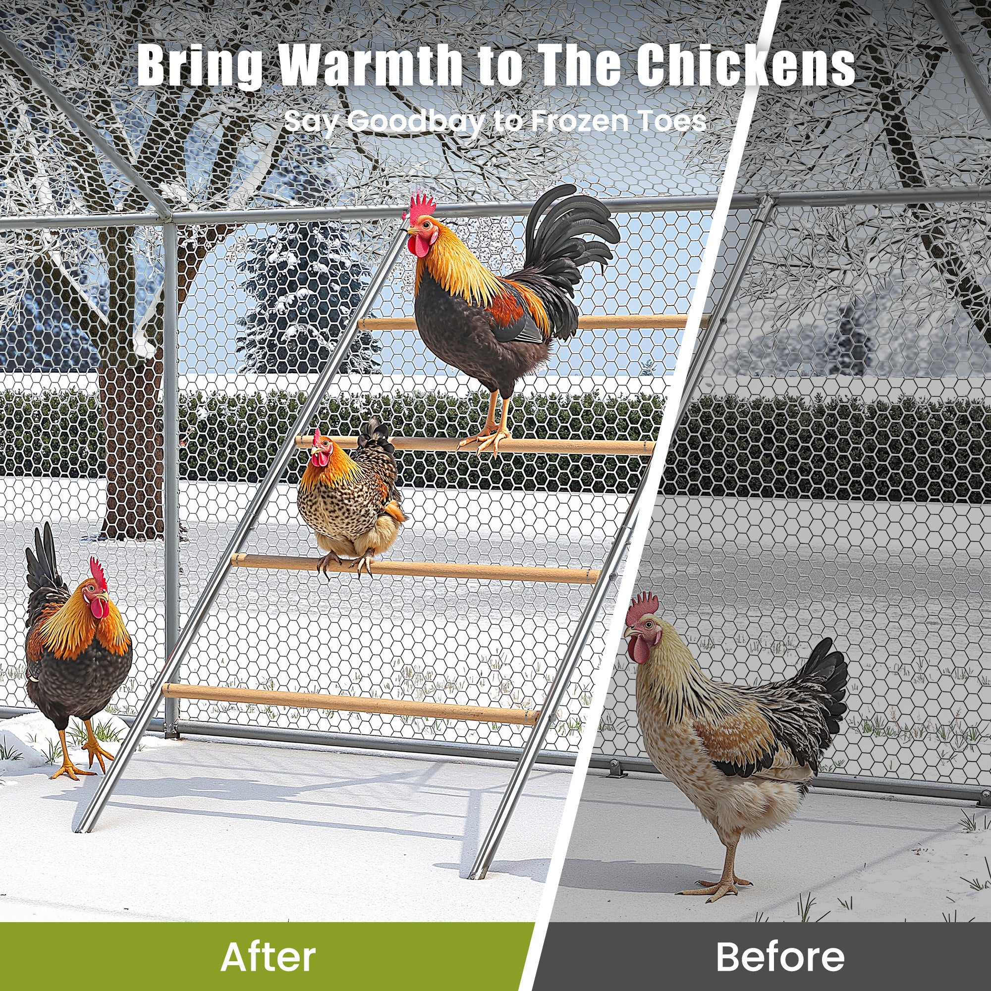 Chicken Roosting Perch - Heavy Duty 4-Tier Metal & Wood Chicken Roost Bars, Large Cock Coop Accessory - Easy Install (55"L x 40"W) for Backyard Poultry, Hens & Farm Pens