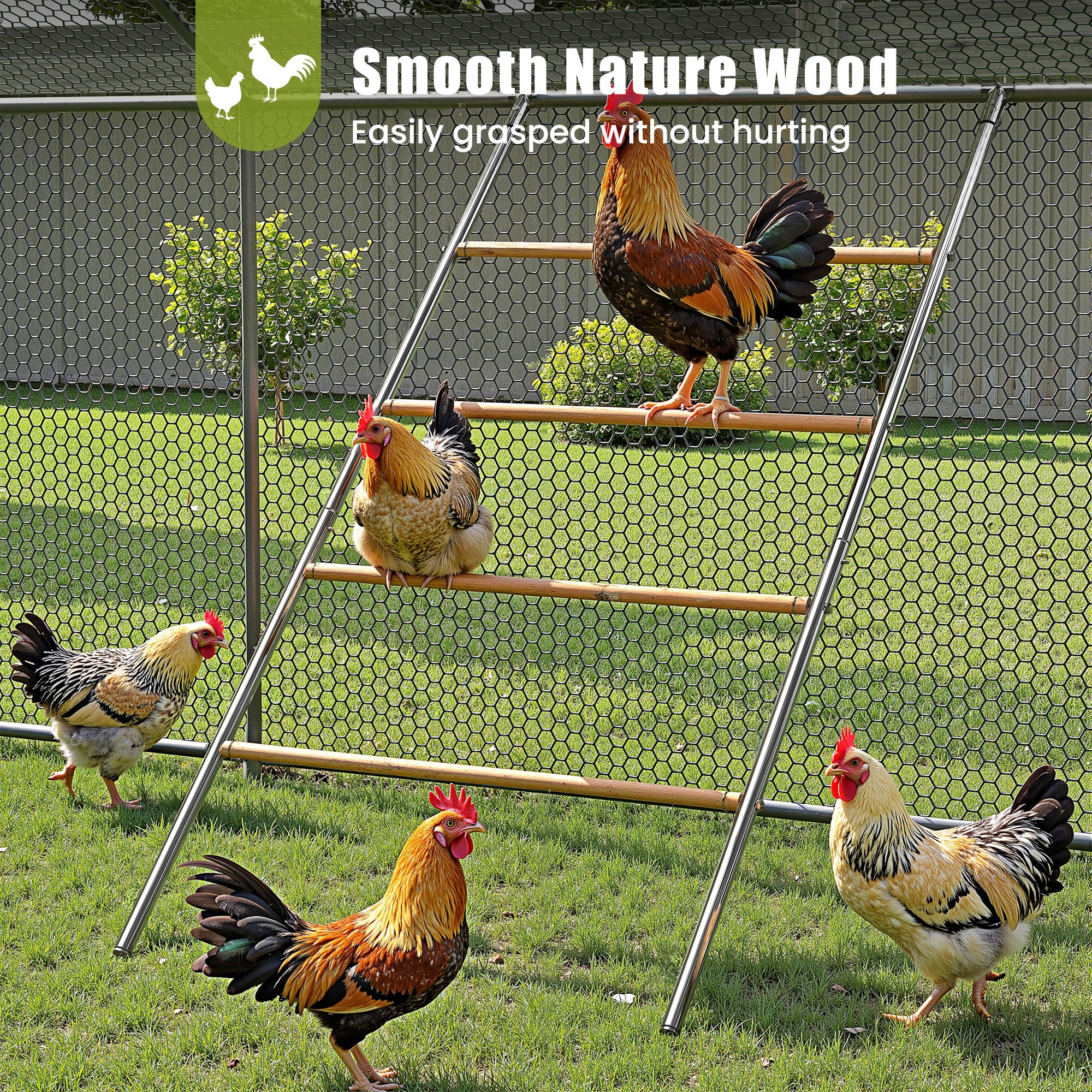 Chicken Roosting Perch - Heavy Duty 4-Tier Metal & Wood Chicken Roost Bars, Large Cock Coop Accessory - Easy Install (55"L x 40"W) for Backyard Poultry, Hens & Farm Pens